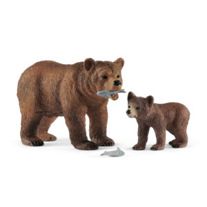 Grizzly bear mother with cub