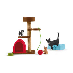 Playtime for cute cats