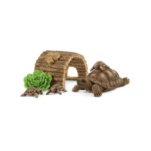 Tortoise home