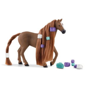 Beauty Horse English Thoroughbread Mare