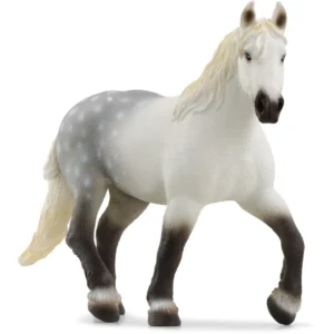 Percheron Mare