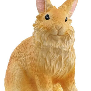Lionhead Rabbit