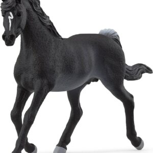 Rabicano Arabian Stall