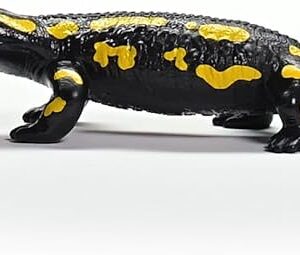 Fire Salamander