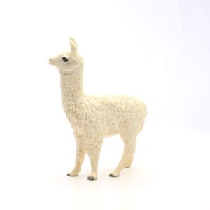 Llama